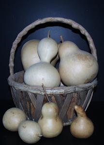 gourdbasket.jpg